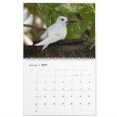 Mural Calendrier 2014 DES OISEAUX D'AFRIQUE (Deux pages) (Jan 2027)