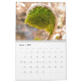 Mural Calendrier 2014 d'étang de Walden avec des (Mar 2027)