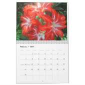 Mural Calendrier 2015 (Feb 2027)