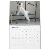 Mural Calendrier 2015 d'amour de chiot de boxeur (Mar 2027)