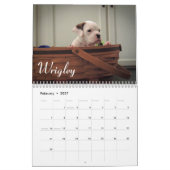 Mural Calendrier 2015 d'amour de chiot de boxeur (Feb 2027)