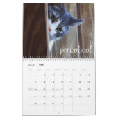 Mural Calendrier 2015 de chats et de chatons (Mar 2027)