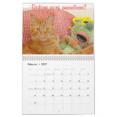 Mural Calendrier 2015 de chats et de chatons (Feb 2027)