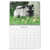 Mural Calendrier 2015 de Keeshond de Raevyn (Mar 2027)