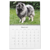 Mural Calendrier 2015 de Keesridge Keeshonden (Mar 2027)
