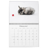 Mural Calendrier 2015 de Keesridge Keeshonden (Feb 2027)