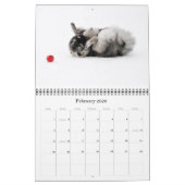 Mural Calendrier 2015 de Keesridge Keeshonden (Feb 2026)