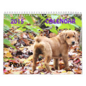 Mural Calendrier 2015 de penny (Protection)