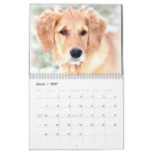 Mural Calendrier 2015 de penny (Mar 2027)