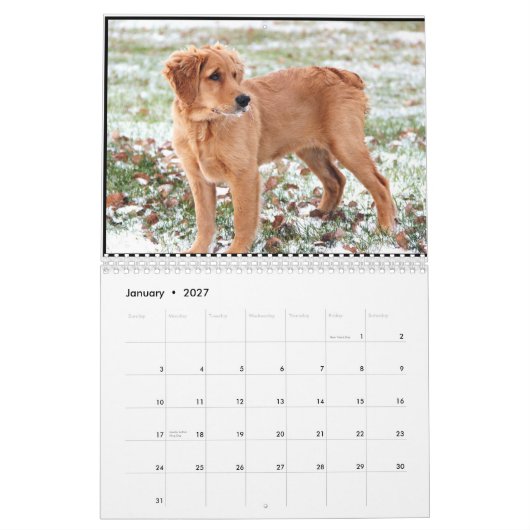 Mural Calendrier 2015 de penny (Jan 2027)