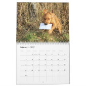 Mural Calendrier 2015 de penny (Feb 2027)