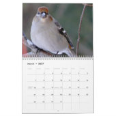 Mural Calendrier 2015 de petits oiseaux (Mar 2027)