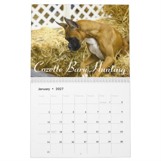 Mural Calendrier 2015 de représentation de boxeur (Jan 2027)