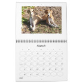 Mural Calendrier 2016 d'Azawakh (Mar 2027)