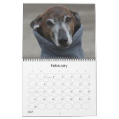 Mural Calendrier 2016 d'Azawakh (Feb 2027)