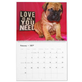 Mural Calendrier 2016 de Bullmastiff (Feb 2027)