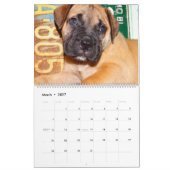 Mural Calendrier 2016 de Bullmastiff (Mar 2027)