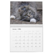 Mural Calendrier 2016 de chat (Jan 2026)