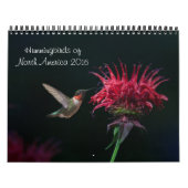 Mural Calendrier 2016 de colibri (Protection)