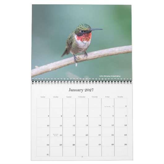 Mural Calendrier 2016 de colibri (Jan 2027)