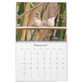 Mural Calendrier 2016 de colibri (Feb 2027)