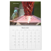 Mural Calendrier 2016 de colibri (Mar 2026)