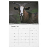 Mural Calendrier 2016 de la société de végétalien (Jan 2027)