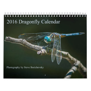 Mural Calendrier 2016 de libellule par Steve Borichevsky