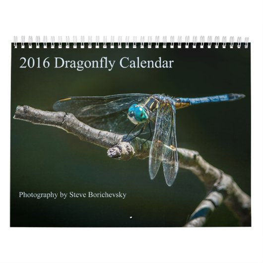 Mural Calendrier 2016 de libellule par Steve Borichevsky (Protection)