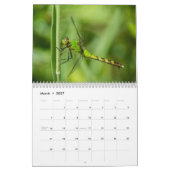 Mural Calendrier 2016 de libellule par Steve Borichevsky (Mar 2027)