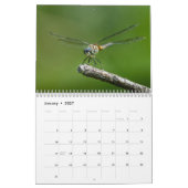 Mural Calendrier 2016 de libellule par Steve Borichevsky (Jan 2027)