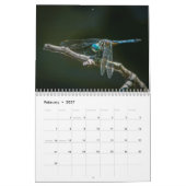 Mural Calendrier 2016 de libellule par Steve Borichevsky (Feb 2027)