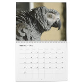 Mural Calendrier 2016 de perroquet de gris africain du (Feb 2027)