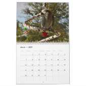 Mural Calendrier 2016 de perroquet de gris africain du (Mar 2027)