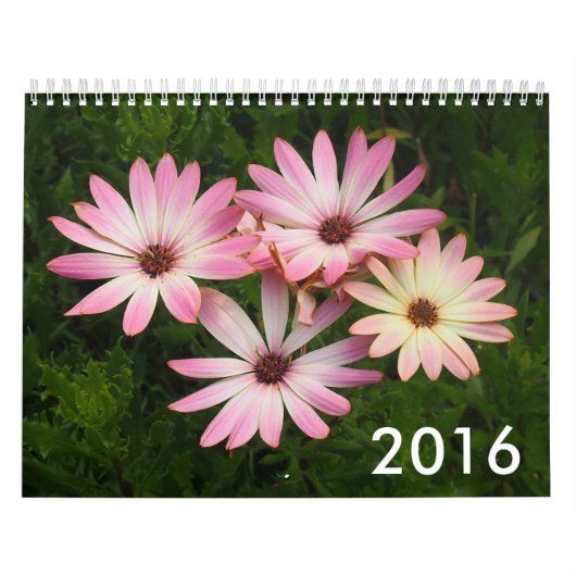 Mural Calendrier 2016 de photo (Protection)