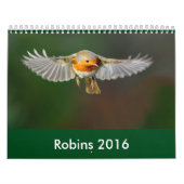 Mural Calendrier 2016 de Robin (Protection)