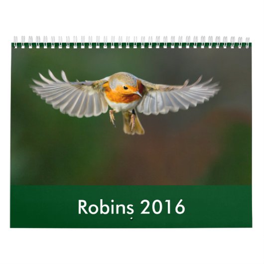 Mural Calendrier 2016 de Robin (Protection)