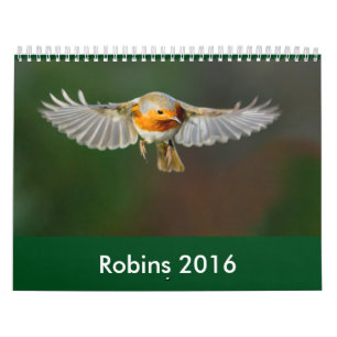 Mural Calendrier 2016 de Robin