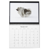 Mural Calendrier 2016 d'établissements de Keesridge (Jan 2027)