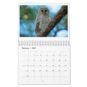 Mural Calendrier 2016 d'OwlWatch (Feb 2027)