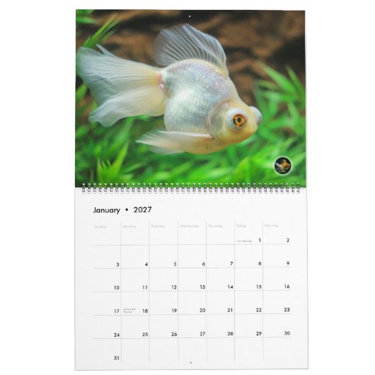 Mural Calendrier 2016 surdimensionné de poisson rouge (Jan 2027)