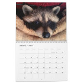 Mural Calendrier 2017 de bébés de faune (Jan 2027)