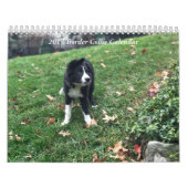 Mural Calendrier 2017 de border collie (Protection)