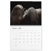 Mural Calendrier 2017 de Boyz de forêt (Feb 2027)