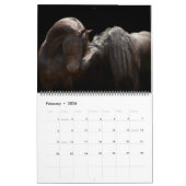 Mural Calendrier 2017 de Boyz de forêt (Feb 2026)