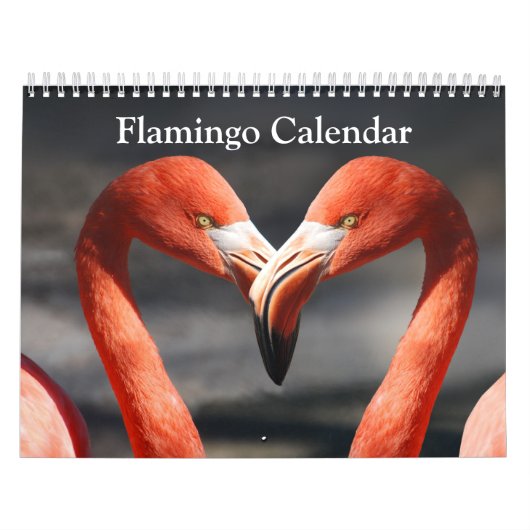 Mural Calendrier 2017 de Flamant rose (Protection)