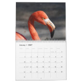 Mural Calendrier 2017 de Flamant rose (Jan 2027)