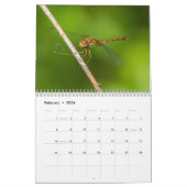 Mural Calendrier 2017 de libellule (Feb 2026)