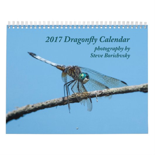 Mural Calendrier 2017 de libellule (Protection)