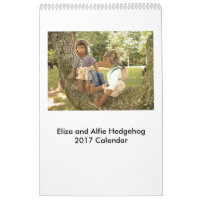 Calendrier 2017 de poupée de hérisson